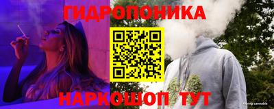 стафф Лесосибирск
