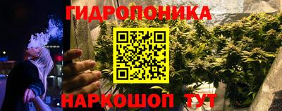стафф Лесосибирск