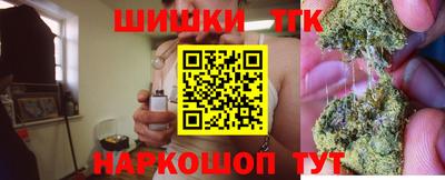 стафф Лесосибирск