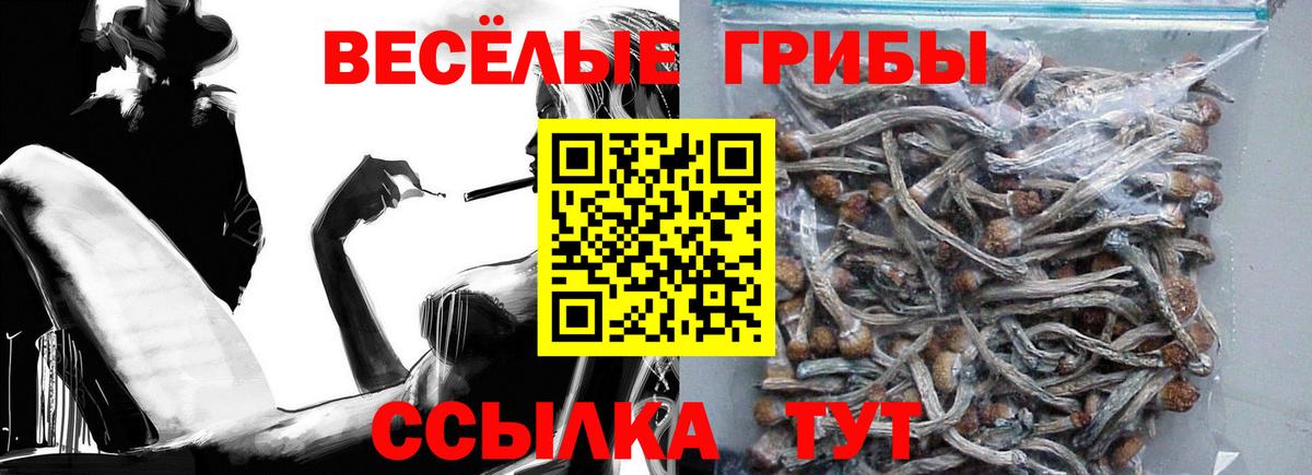 Псилоцибиновые грибы Cubensis  Вход с VPN  Городец  что такое наркотик  Галлюциногенные грибы мухоморы 