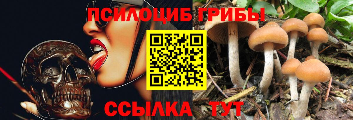 Псилоцибиновые грибы GOLDEN TEACHER Городец